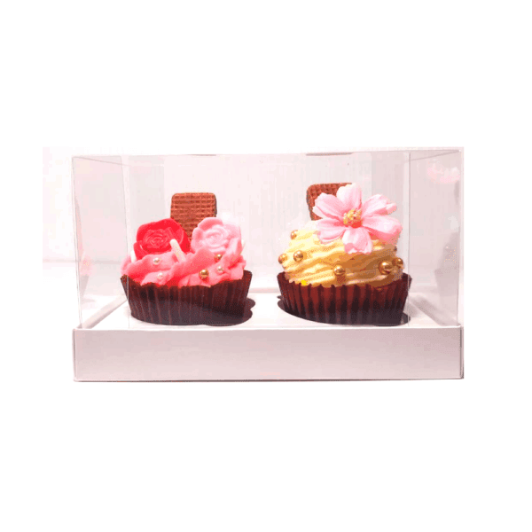 Caja Cupcake 2