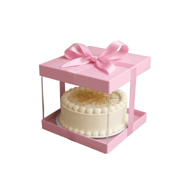 Caja Probox 10