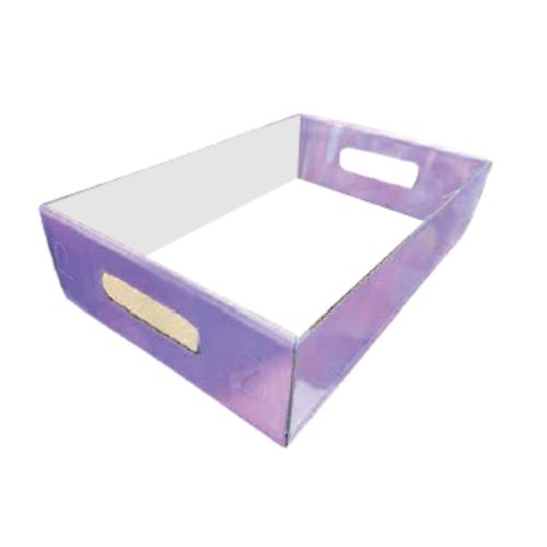 [Imagen de Caja Bandeja Proboxes 25x18x8]