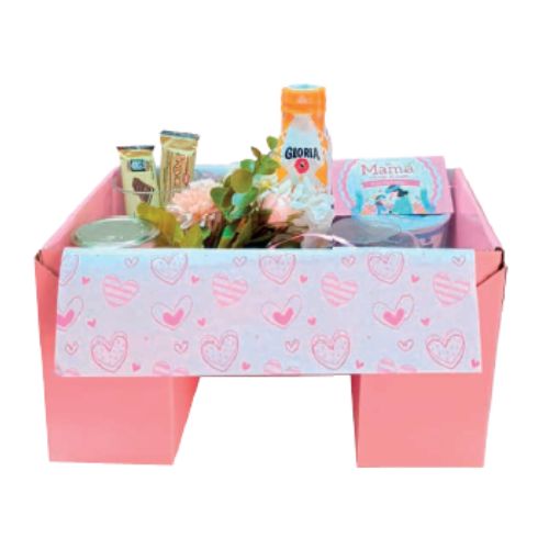 Caja bandeja deslizable Proboxes